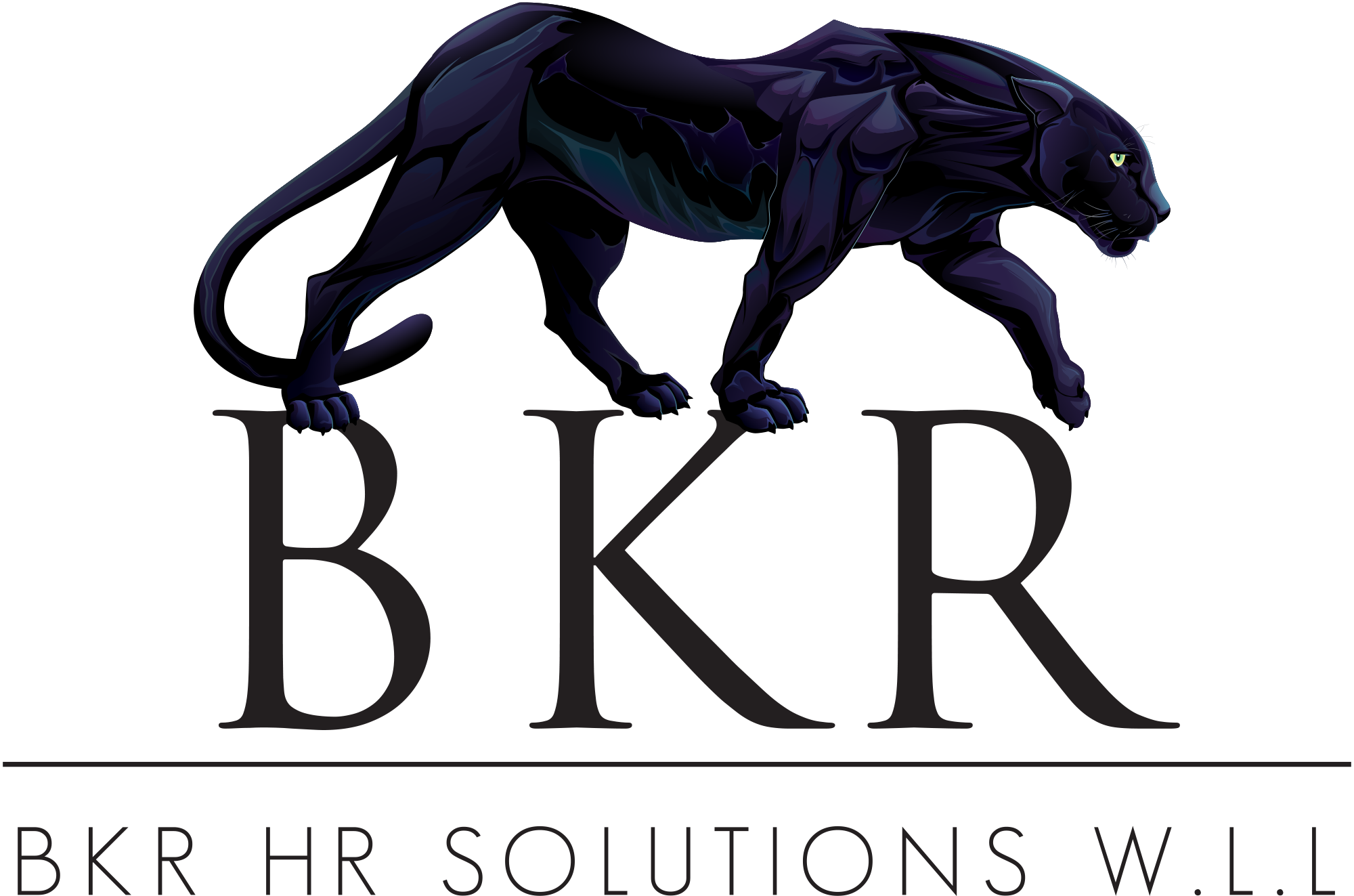 BKR Business Solutions 